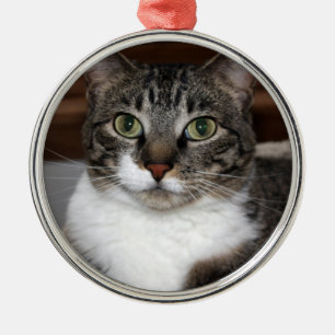 Tabby Cat Looking at You Photo Metal Tree Decoration