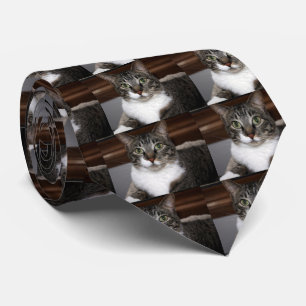 Tabby Cat Looking at You Tie