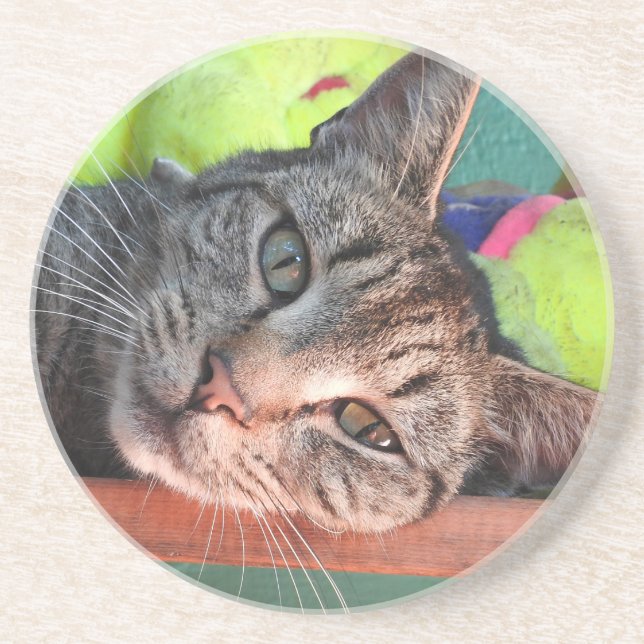 Tabby Cat Love Coaster (Front)