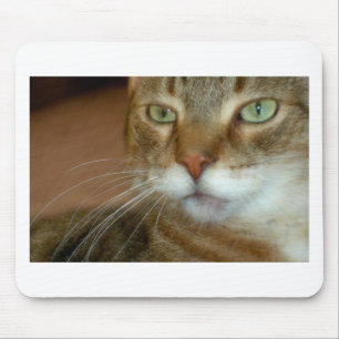 Tabby Cat Love Mouse Mat