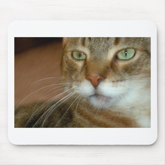 Tabby Cat Love Mouse Mat (Front)