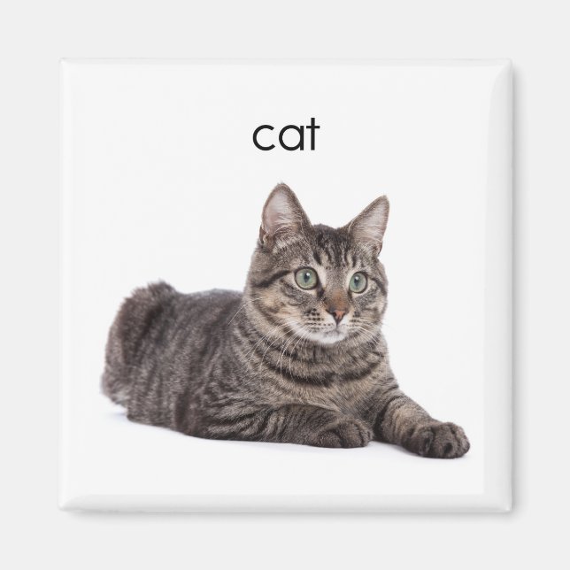 Tabby Cat Magnet (Front)
