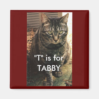 Tabby Cat Magnet Maroon background