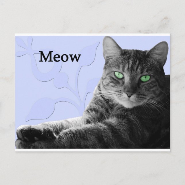 Tabby Cat Meow Postcard (Front)