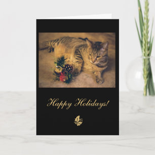 Tabby cat: Merry Christmas! Holiday Card