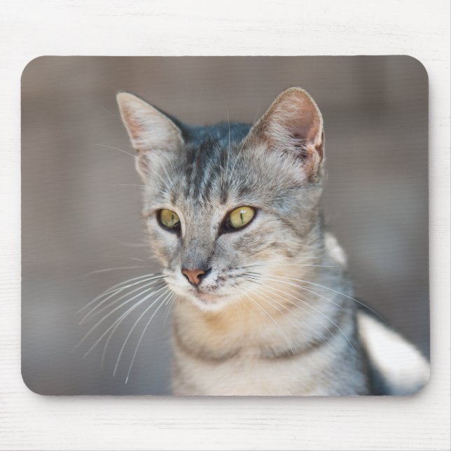 Tabby cat mouse mat (Front)