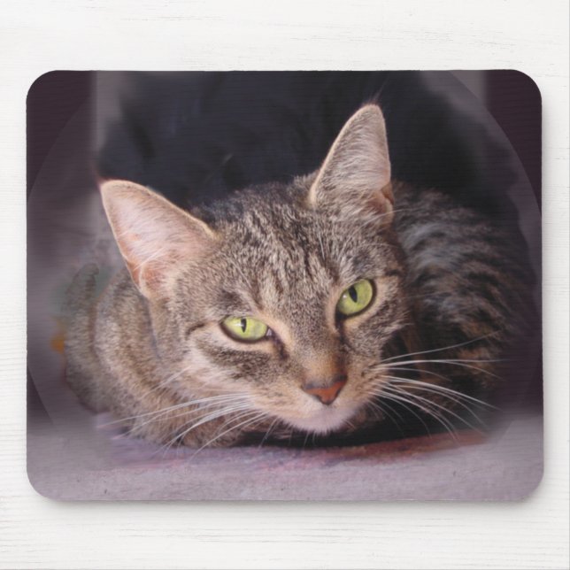 Tabby Cat Mouse Mat (Front)