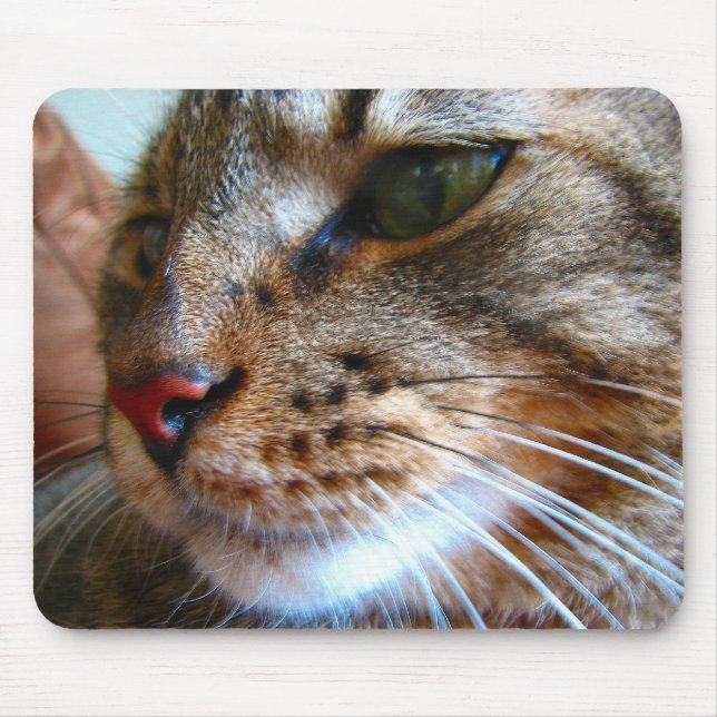 Tabby cat mousepad (Front)