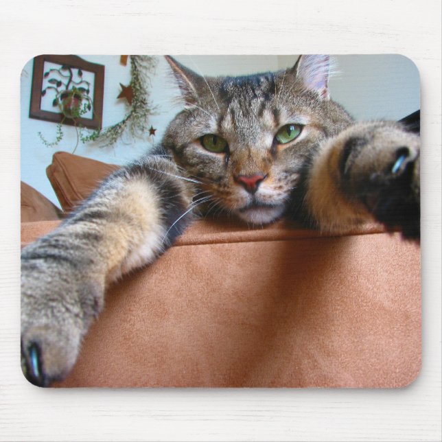 Tabby cat mousepad (Front)