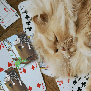 Tabby Cat Napping Birdhouse Playing Cards