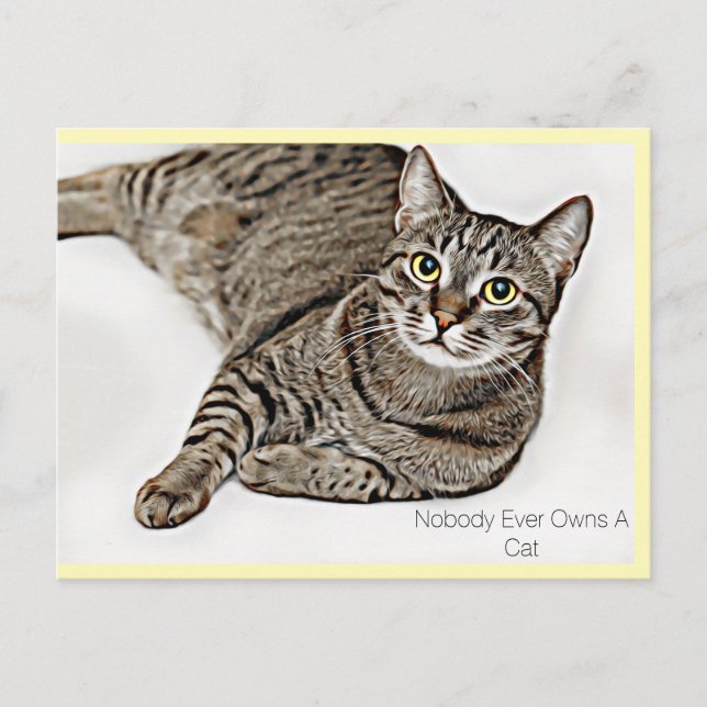 Tabby Cat "Nobody Ever Owns A Cat" | Postcard (Front)