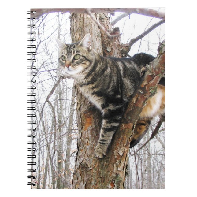 Tabby Cat Notebook (Front)