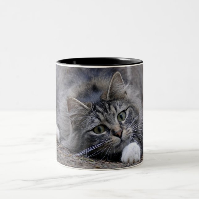 Tabby Cat on Alert Ready to Pounce Two-Tone Coffee Mug (Center)