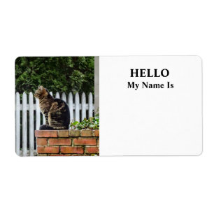 Tabby Cat on Brick Wall