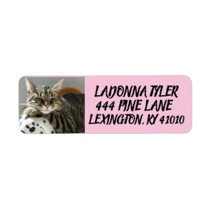 TABBY CAT ON COUCH RETURN ADDRESS LABELS