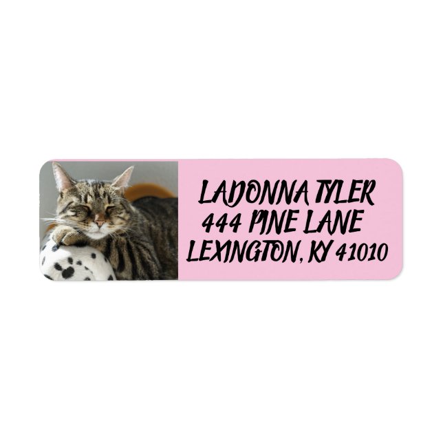 TABBY CAT ON COUCH RETURN ADDRESS LABELS (Front)