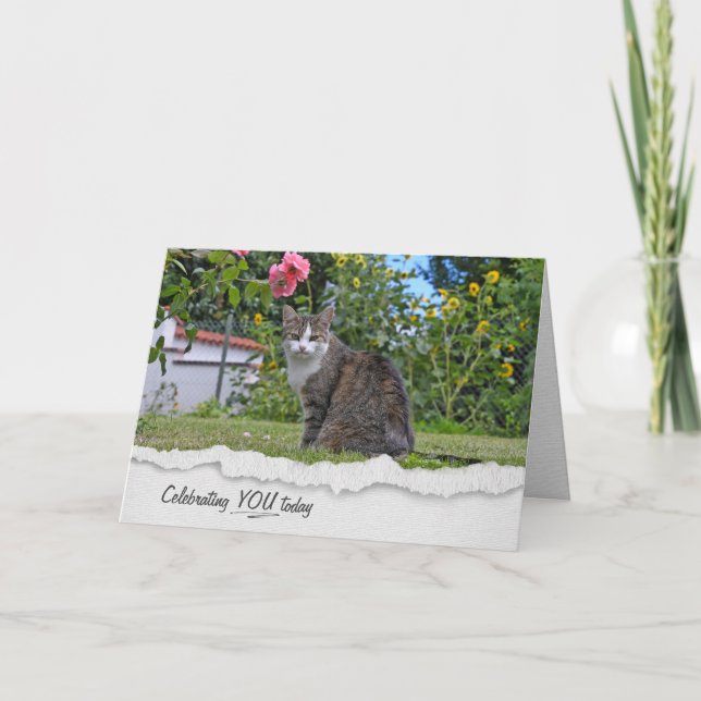 Tabby Cat On Grass Birthday Card (Front)