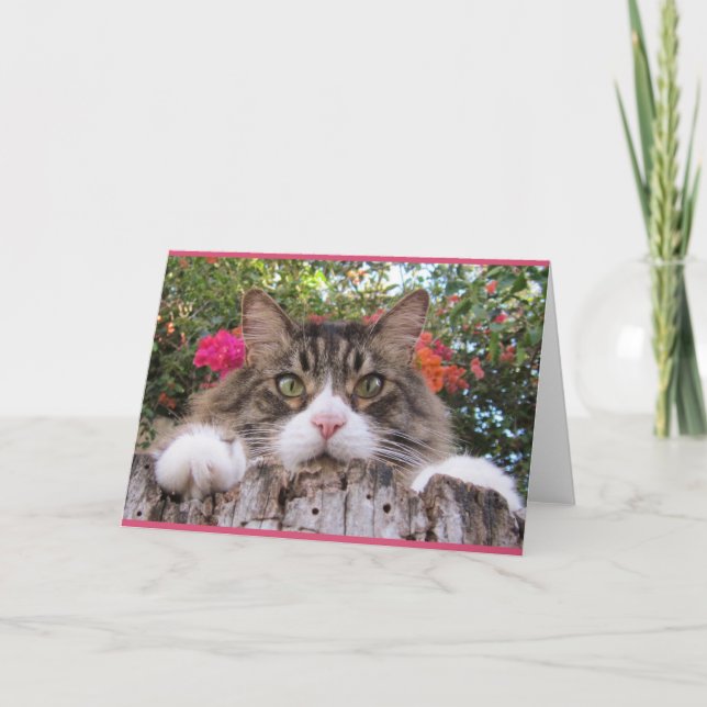 Tabby Cat On Tree Stump With Bougainvillea Card (Front)