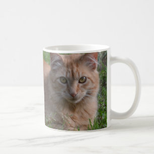 Tabby cat orange coffee mug