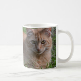 Tabby cat orange coffee mug