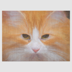Tabby Cat Orange White Cute Fluffy Beautiful Tissue Paper