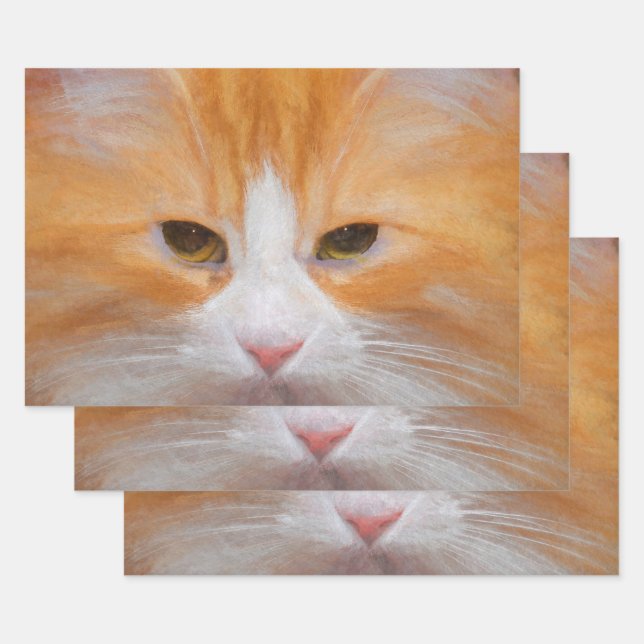 Tabby Cat Orange White Cute Fluffy Beautiful Wrapping Paper Sheet (Set)
