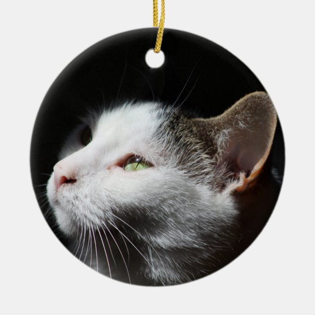 Tabby Cat ornament (Front)