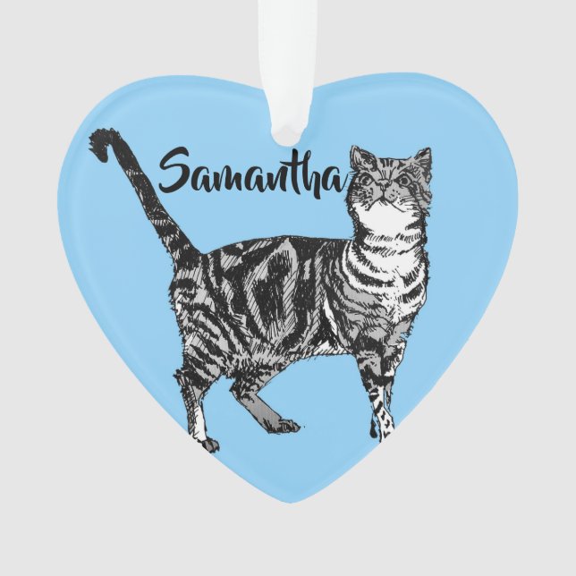 Tabby Cat Pastel Blue Merry Christmas Decoration (Front)