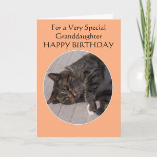 Tabby Cat Personalised Granddaughter Birthday Card