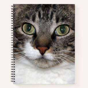 Tabby Cat Pet Animal Face Photography Notebook