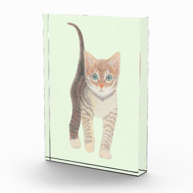 Tabby Cat Photo Block (Right)