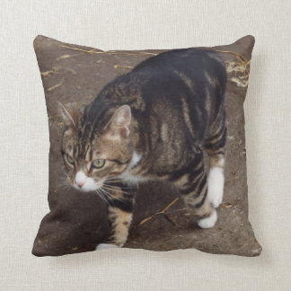 tabby cat pillow