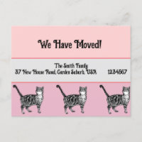 Tabby Cat Pink New Address Postcard, We Are Moving