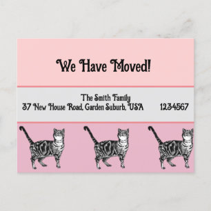 Tabby Cat Pink New Address Postcard, We Are Moving Postcard