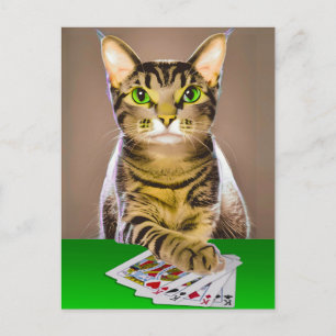 Tabby Cat Playing Poker Postcard