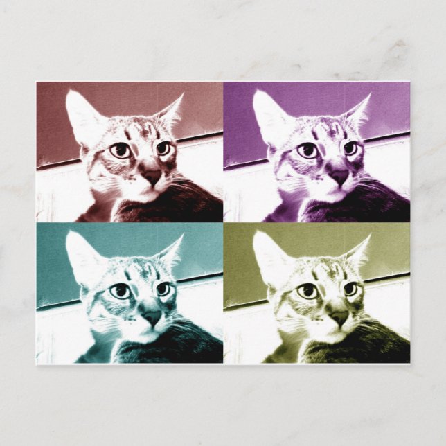 Tabby Cat - Pop Art Postcard (Front)