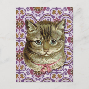 Tabby cat postcard