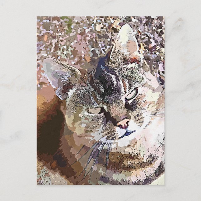 TABBY CAT POSTCARD (Front)
