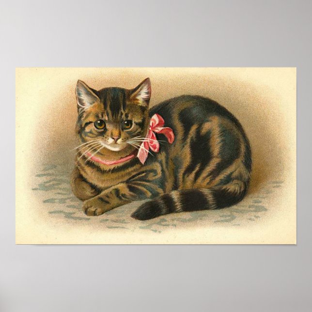 "Tabby Cat" Poster (Front)