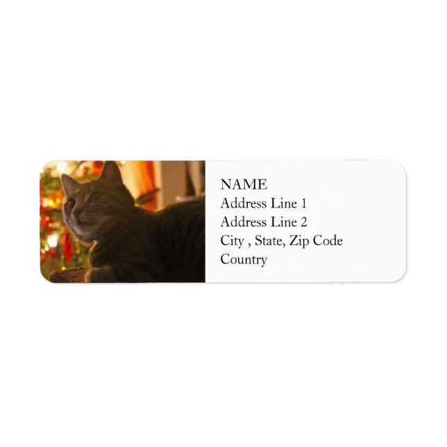 Tabby Cat Purr-fect Holiday Season (Front)