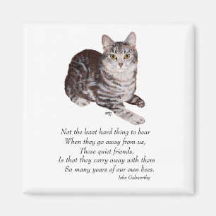 Tabby Cat Rainbow Bridge Magnet