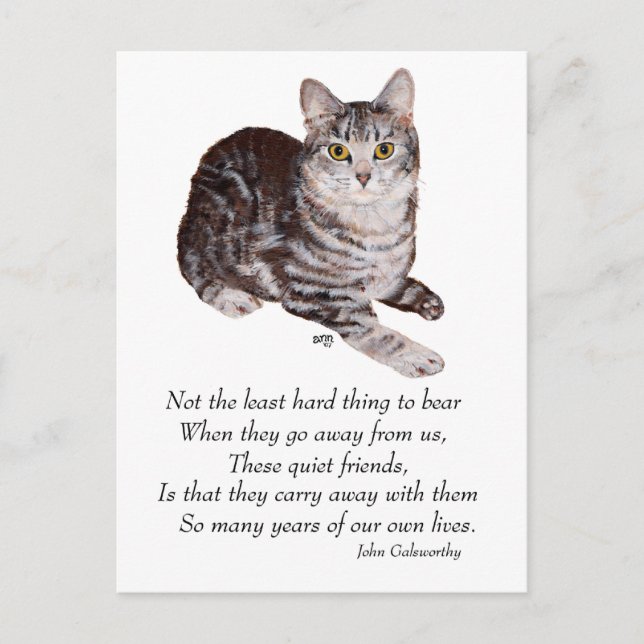 Tabby Cat Rainbow Bridge Postcard (Front)