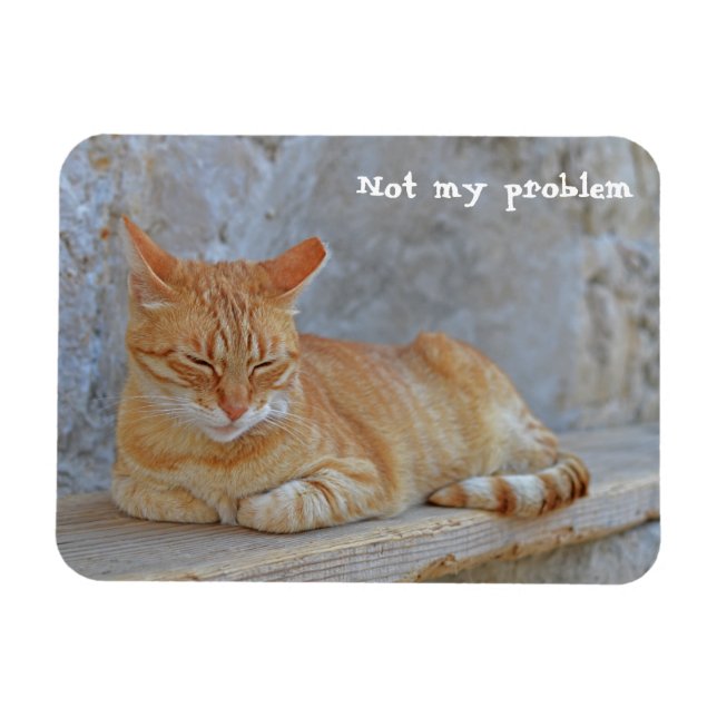 Tabby cat resting in Dubrovnik Not my problem! Magnet (Horizontal)