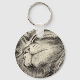 tabby cat scritching key ring