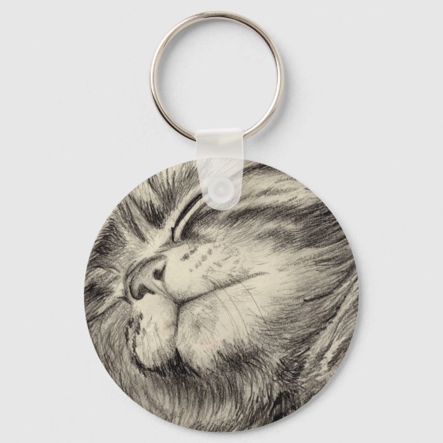 tabby cat scritching key ring (Front)