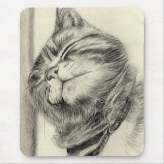 tabby cat scritching mousemat