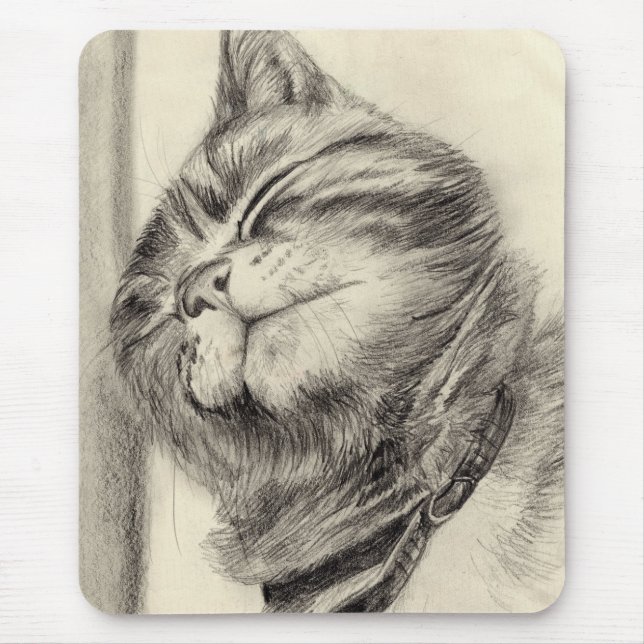 tabby cat scritching mousemat (Front)