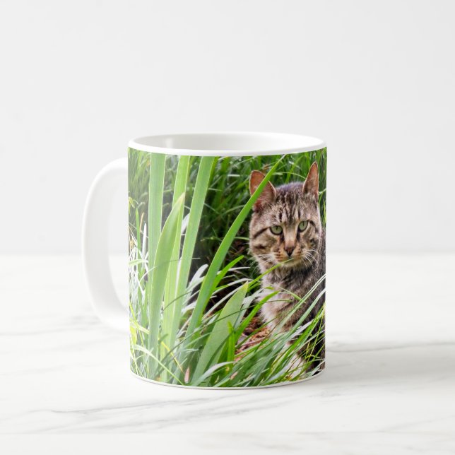Tabby Cat Sitting in Grass Photo  Coffee Mug (Front Left)