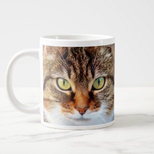 Tabby Cat Stare Close-up Face Large Coffee Mug