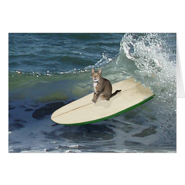 Tabby Cat Surf's Up! (Front Horizontal)
